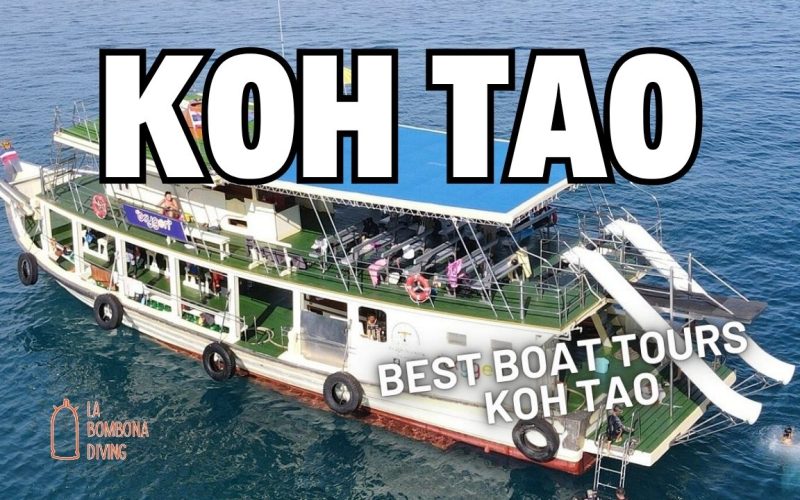 Best Boat Tours Koh Tao