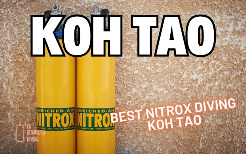Best Nitrox Diving Koh Tao