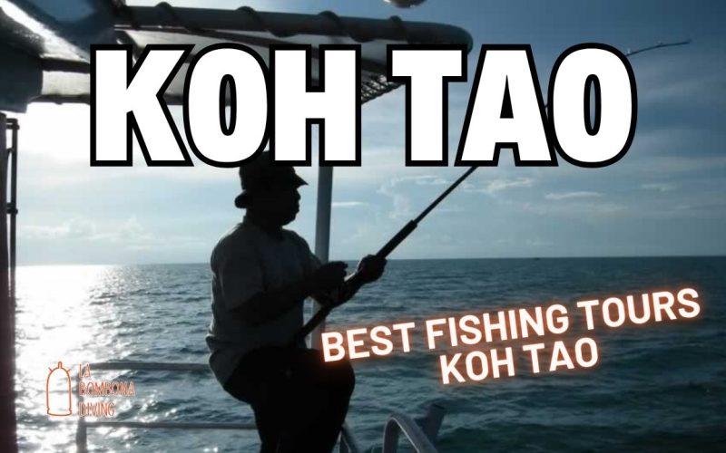 Best Fishing Tours Koh Tao