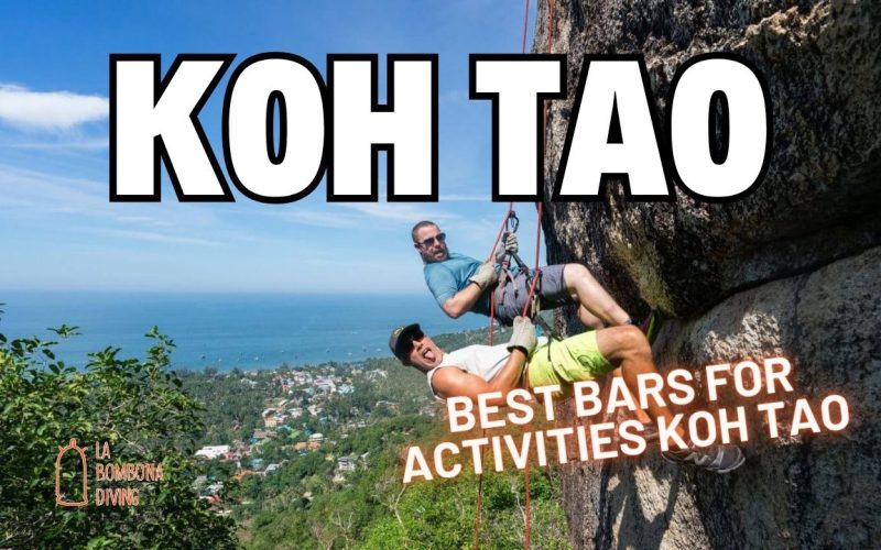 Best Bars For Activities Koh Tao