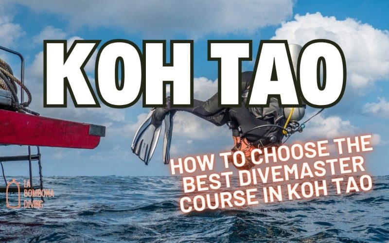 How to Choose the Best Divemaster Course in Koh Tao