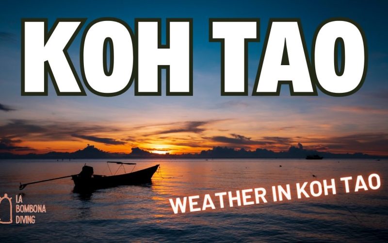 Weather in Koh Tao