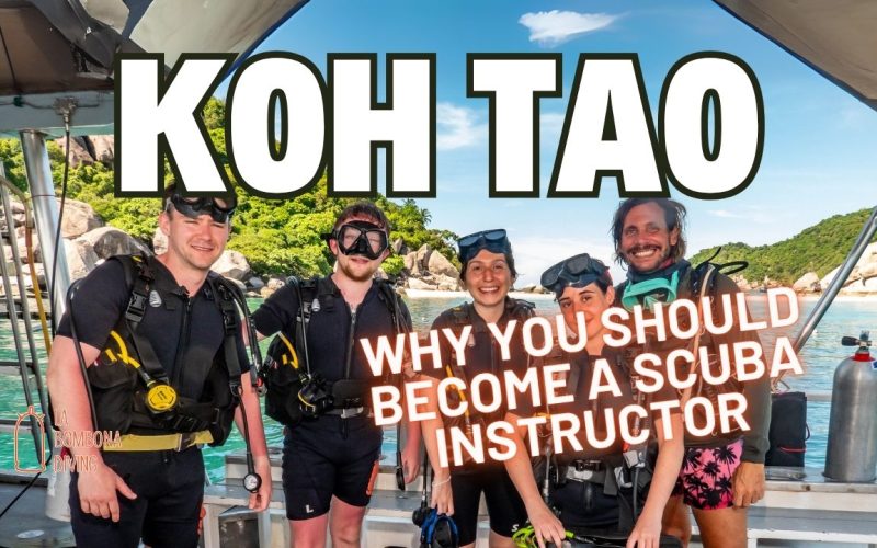 Why You Should Become A Scuba Instructor