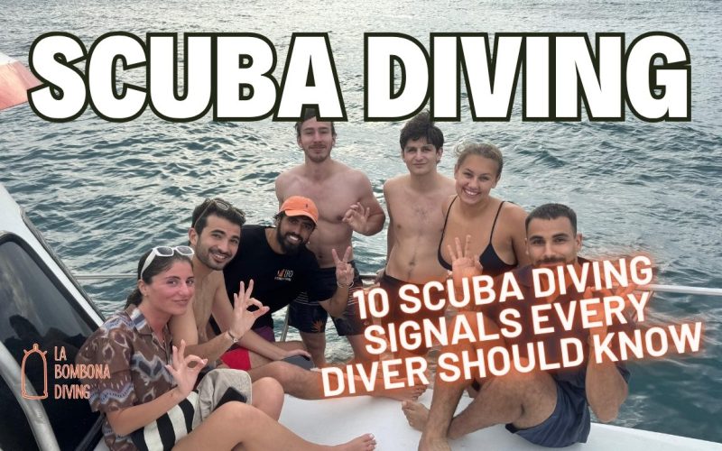 10 Scuba Diving Signals Every Diver Should Know