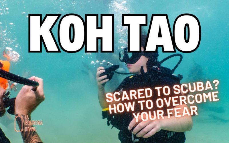 Scared To SCUBA? How To Overcome Your Fear