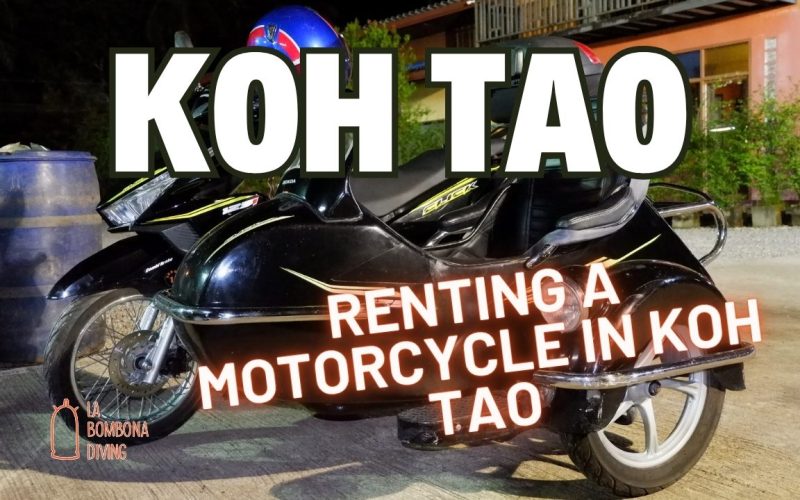 Alquilar una moto en Koh Tao
