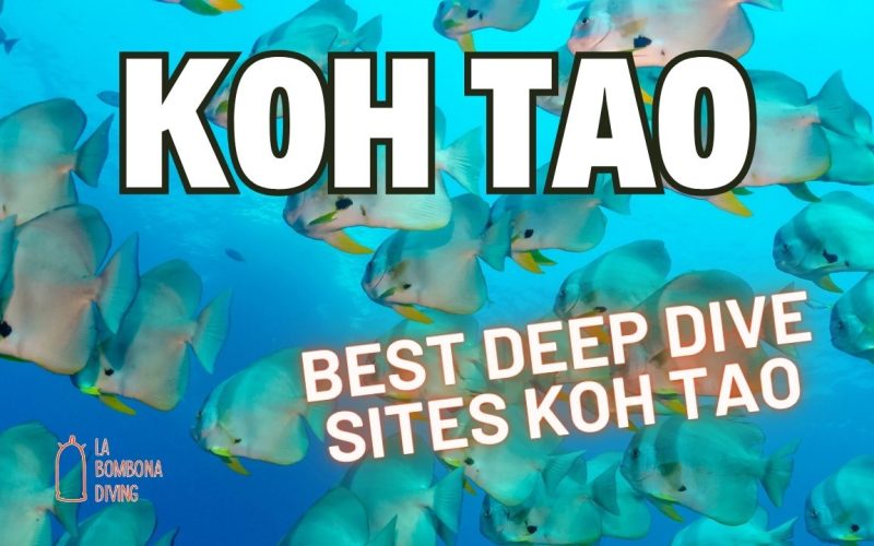 Best Deep Dive Sites Koh Tao