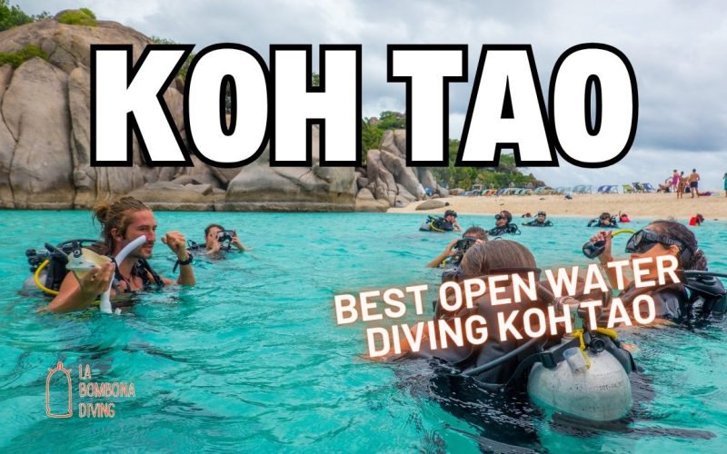 El mejor buceo en aguas abiertas de Koh Tao