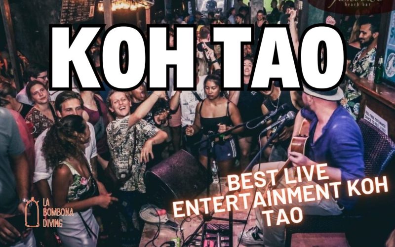 Best Live Entertainment Koh Tao
