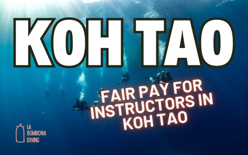 Fair Pay For Instructors Koh Tao