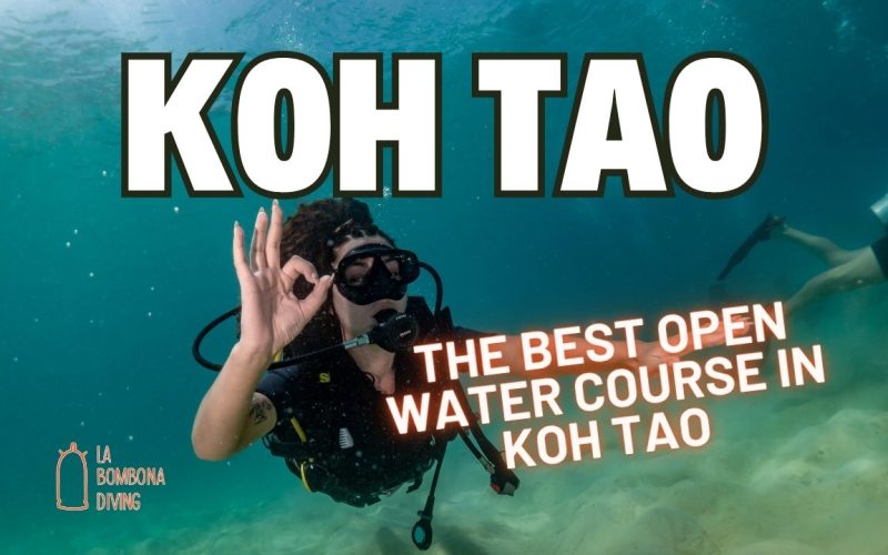 The Best Open Water Course In Koh Tao – Top 10 In Order