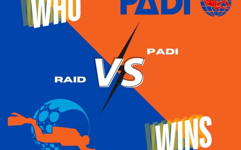 padi v raid logo graphic